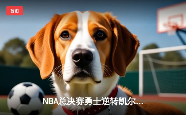 NBA总决赛勇士逆转凯尔特人夺冠  库里狂砍34分荣膺FMVP